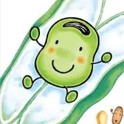 そらまめの画像