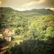 サラスパ