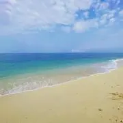 Totalosaの画像