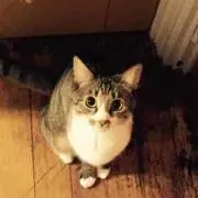 はすん