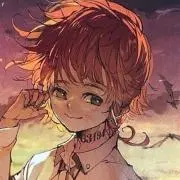 あぼかどの画像