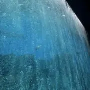 nokaの画像