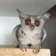 あぷてぃ