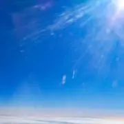 しらたまこの画像