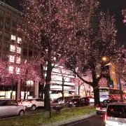 karryの画像