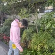 ゆーひの画像