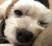 ★CHA  ME ★の画像