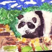 チェブの画像