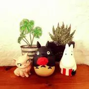 ぬーぴーの画像