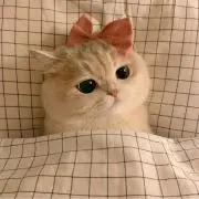 ちか プロフ必読 ◍˃ᵕ˂◍の画像