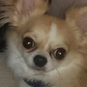 ご多幸