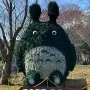 なちゅなちゅ
