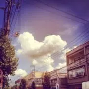 AJの画像