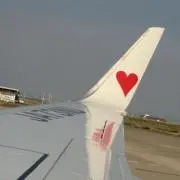 得命