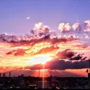 福めいの画像