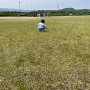 ふぇの画像