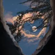 ino※プロフ必読の画像
