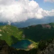 えりの画像