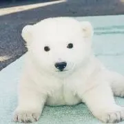こう