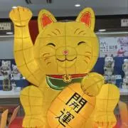 まねきねこのこの画像