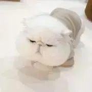 レモン