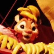 NSCSの画像