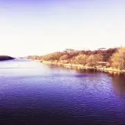 buusuukeの画像