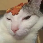 マノア