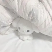 VVSの画像