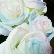 ちょころ