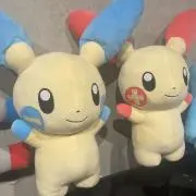 たこの画像