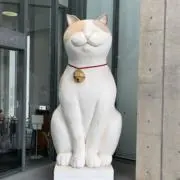 a0316の画像