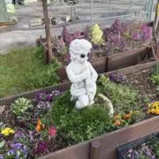 kusatyanの画像