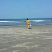 ちょびの画像