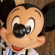 タムフィの画像