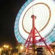 モーリの画像