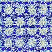 akichanの画像