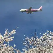 らっきー