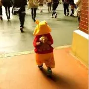 ニコルの画像