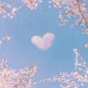 ゆっこくま♡速レス・速日発送多めです！の画像