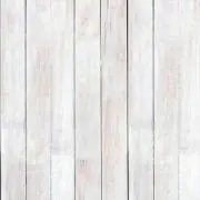 yinの画像