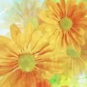 YTの画像