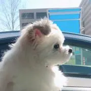 Star⭐️の画像
