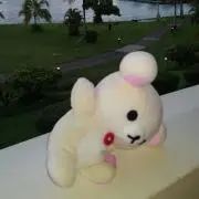まめうその画像
