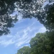 nuの画像