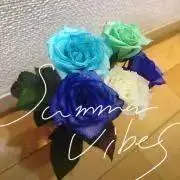 すの