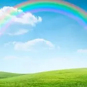 ゆきんこ☺︎**迅速発送**の画像