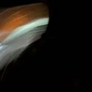ふの画像