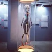 klausの画像