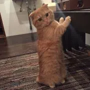 あ